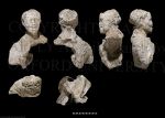 AD79967 Gallery2 (19 of 50)-scr