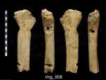 AD79987 Gallery2 (39 of 50)-scr