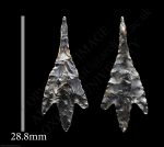 AD79996 Gallery2 (48 of 50)-scr